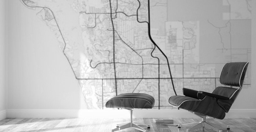 BonitaSprings portrait 2 3 Wall Murals