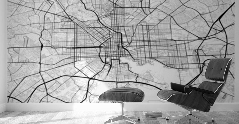 Baltimore portrait 2 3 Wall Murals