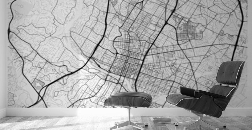 Austin portrait 2 3 Wall Murals