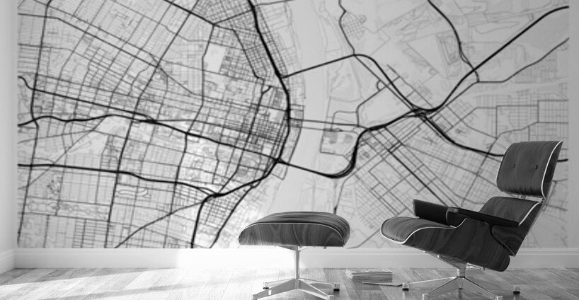 St.Louis portrait 2 3 Wall Murals