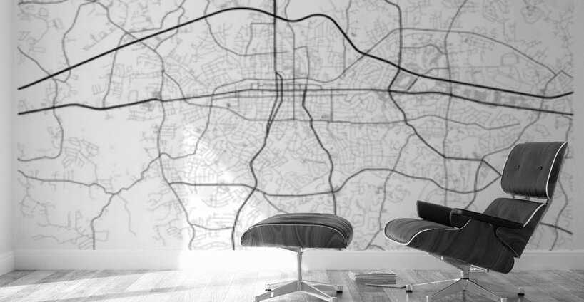 Gastonia portrait 2 3 Wall Murals