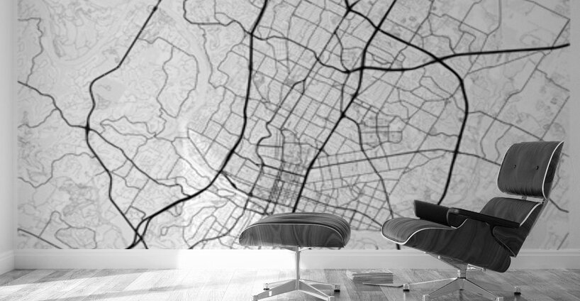 Austin portrait 2 3 Wall Murals