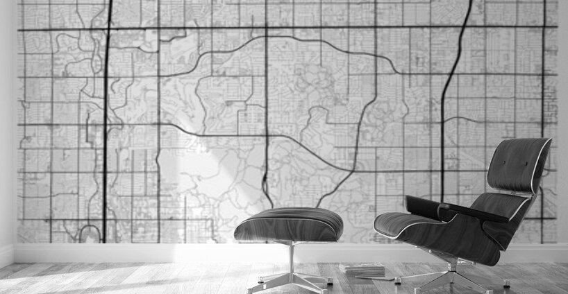 Phoenix portrait 2 3 Wall Murals