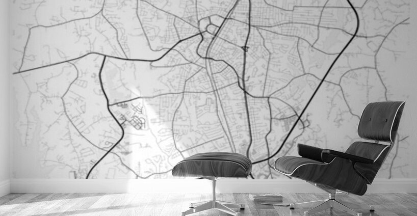 Kannapolis portrait 2 3 Wall Murals