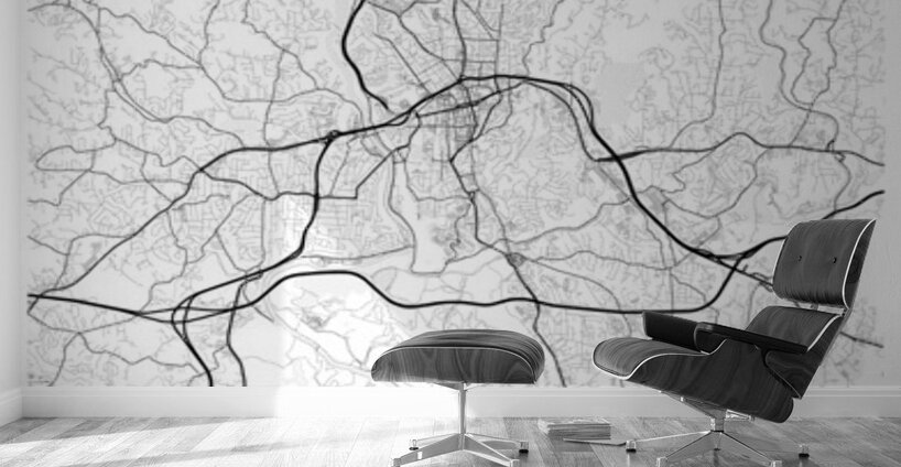 Asheville portrait 2 3 Wall Murals