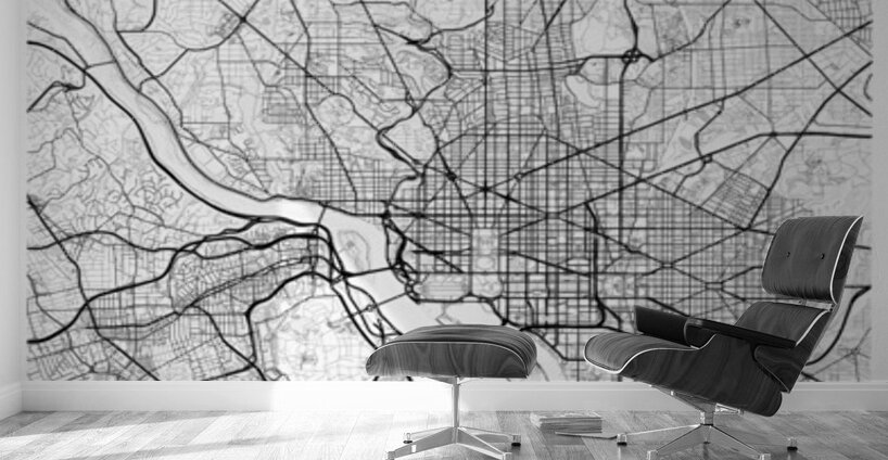 Georgetown portrait 2 3 Wall Murals