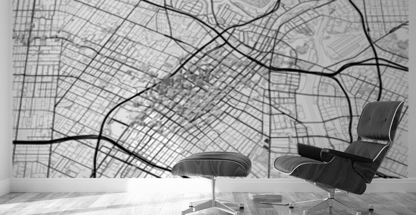 LosAngeles portrait 2 3 Wall Murals