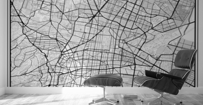 MexicoCity portrait 2 3 Wall Murals