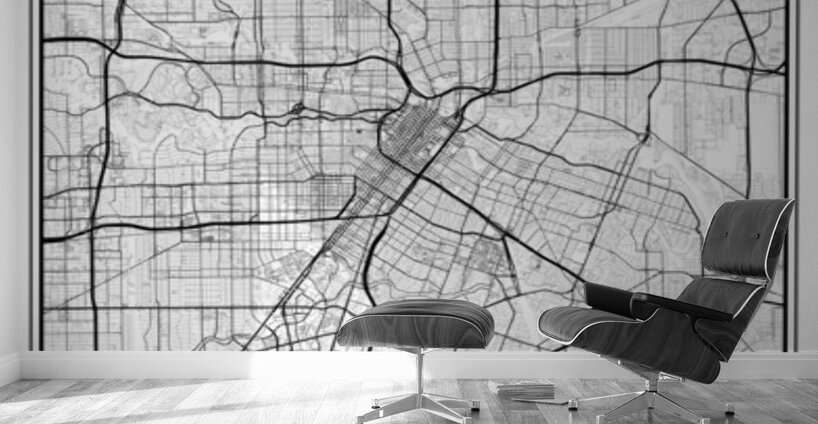 Houston portrait 2 3 Wall Murals