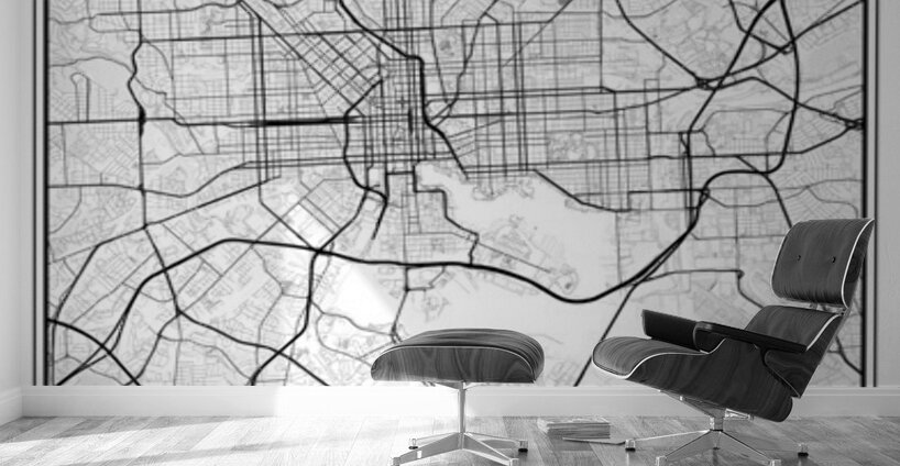 Baltimore portrait 2 3 Wall Murals