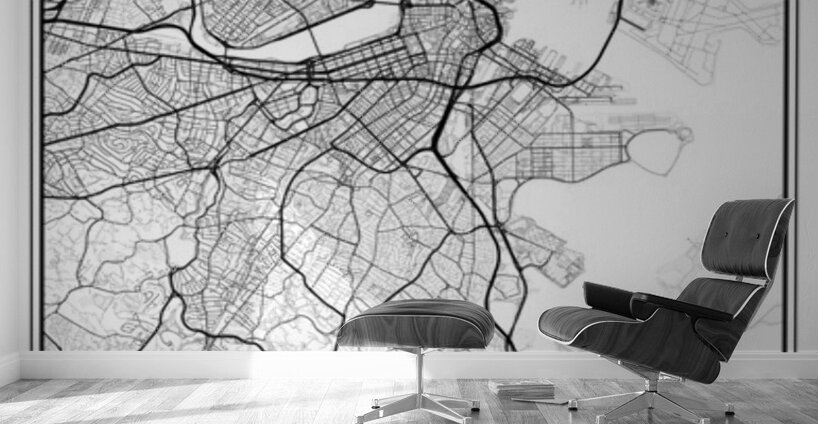 Boston portrait 2 3 Wall Murals