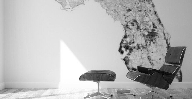 portrait 2 3 Florida Wall Murals