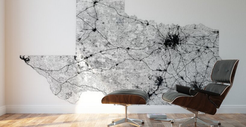 portrait 2 3 texas Wall Murals