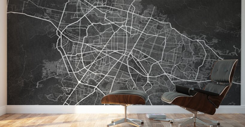 portrait 2 3 Guadalajara Wall Murals