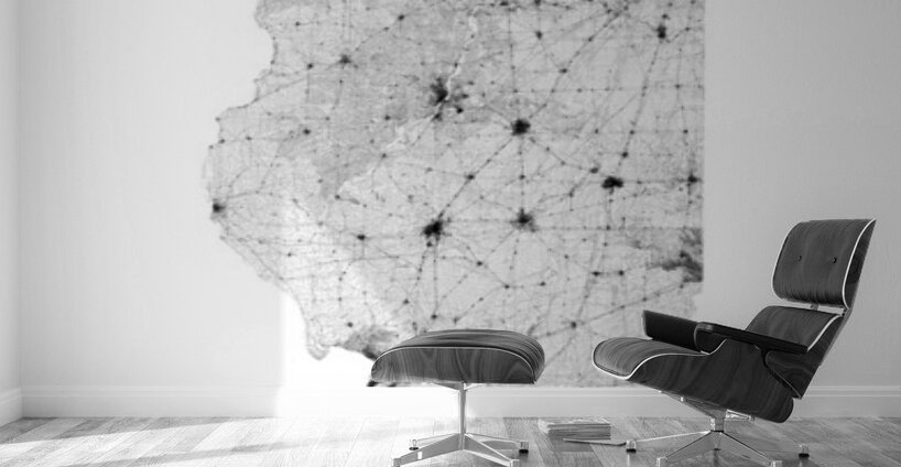 portrait 2 3 Illinois Wall Murals