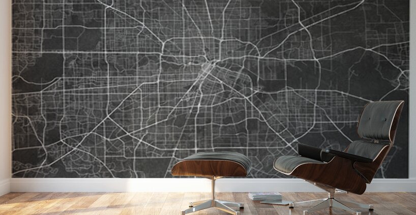 portrait 2 3 Houston Wall Murals