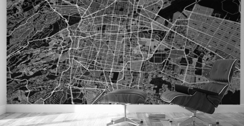 portrait 2 3 mexico city Wall Murals