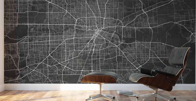 portrait 2 3 houston Wall Murals