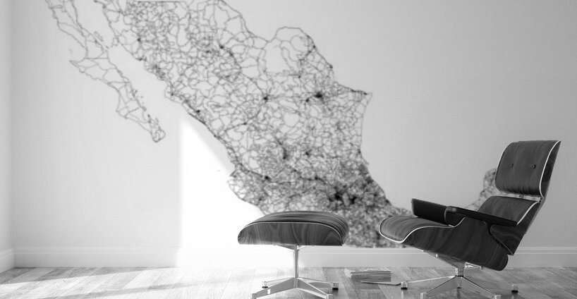 portrait 2 3 mexico Wall Murals