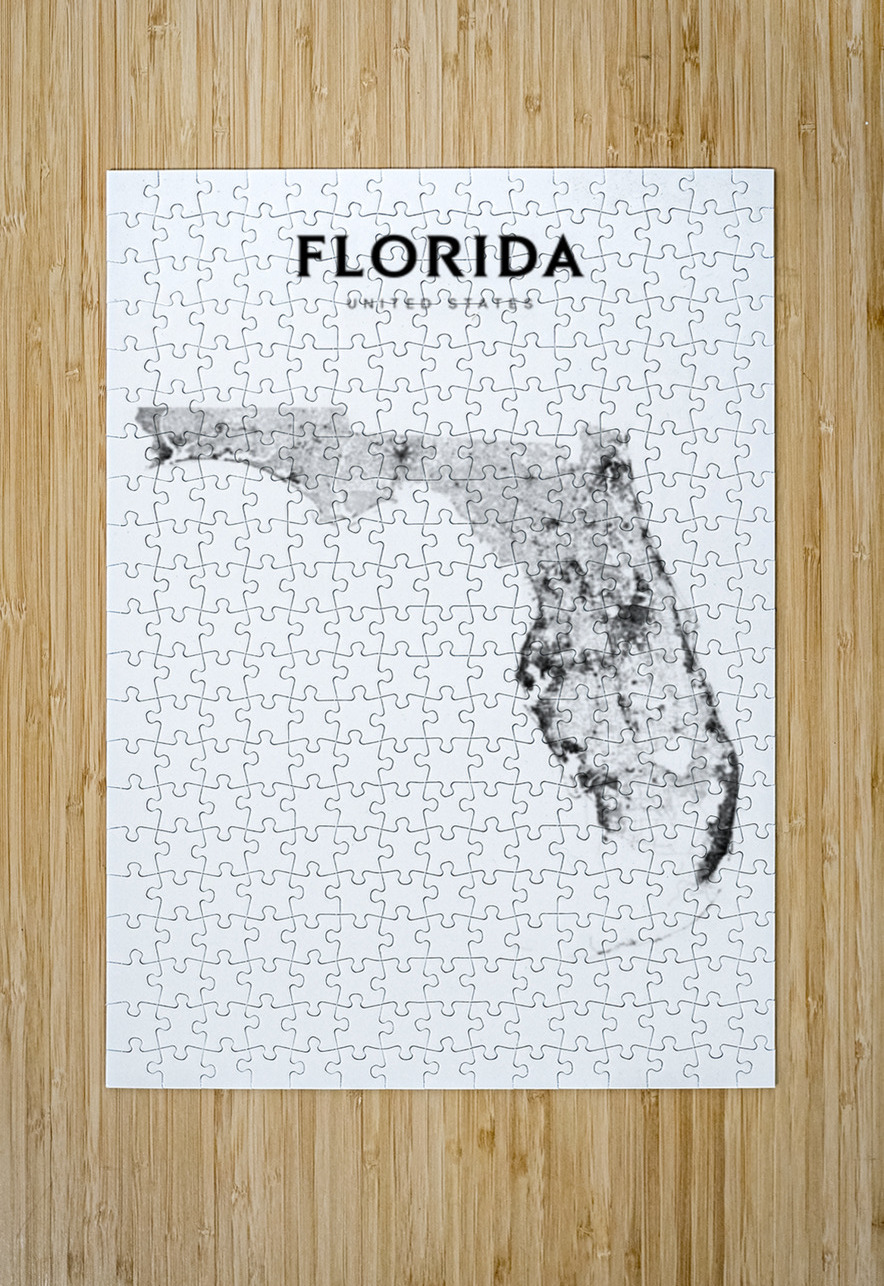 portrait 2 3 Florida CityMapsArt Puzzle printing
