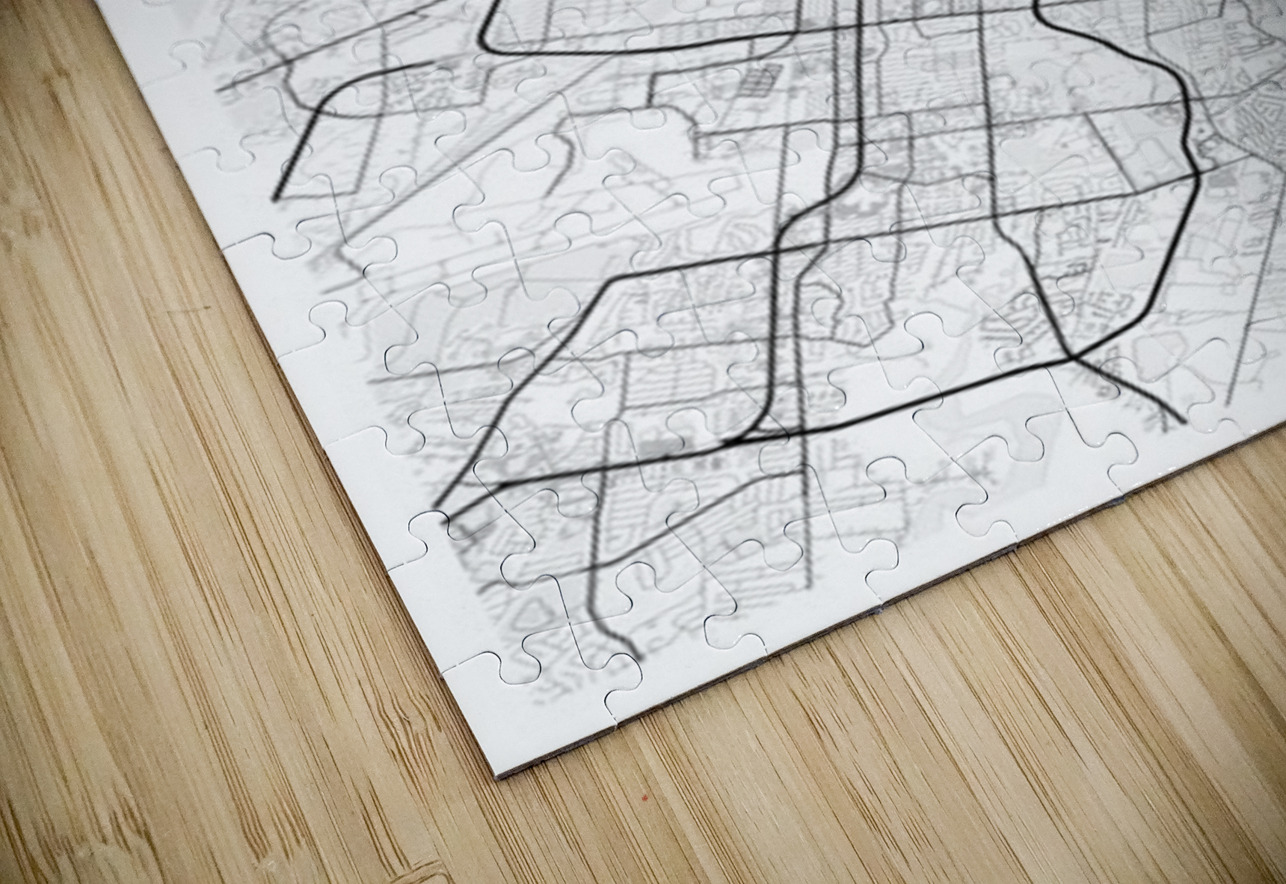 Savannah portrait 2 3 CityMapsArt Puzzle