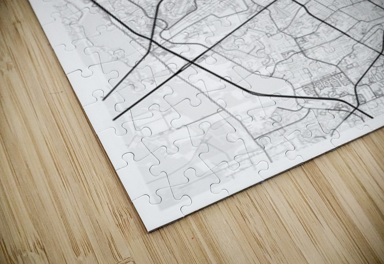 DaytonaBeach portrait 2 3 CityMapsArt Puzzle