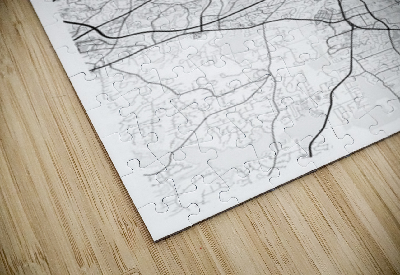 Raleigh portrait 2 3 CityMapsArt Puzzle