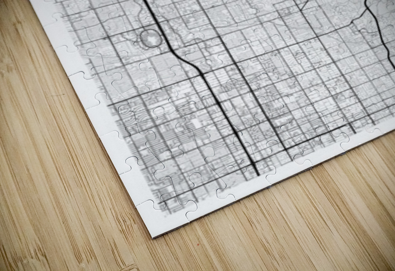 Phoenix portrait 2 3 CityMapsArt Puzzle