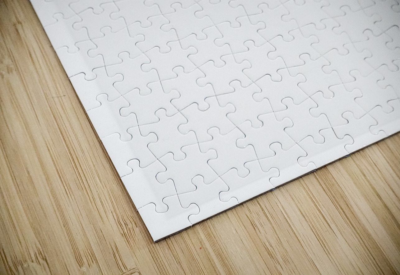 NewPortBeach portrait 2 3 CityMapsArt Puzzle