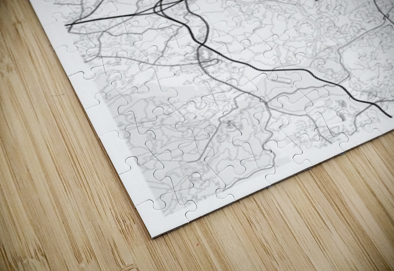 Asheville portrait 2 3 CityMapsArt Puzzle