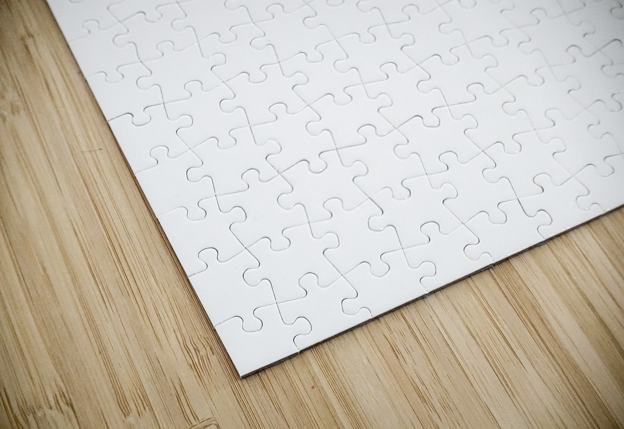 portrait 2 3 Florida CityMapsArt Puzzle