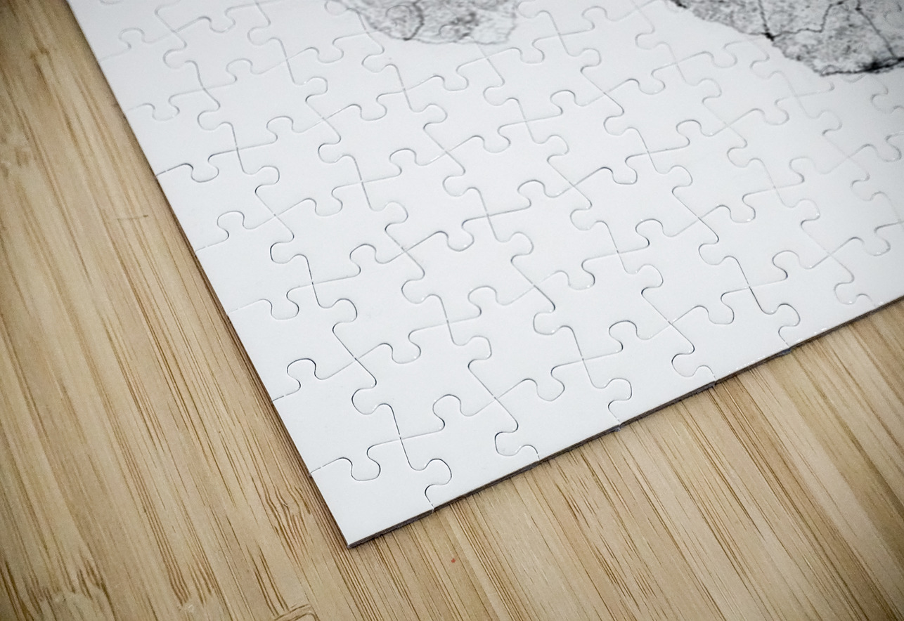 portrait 2 3 texas CityMapsArt Puzzle