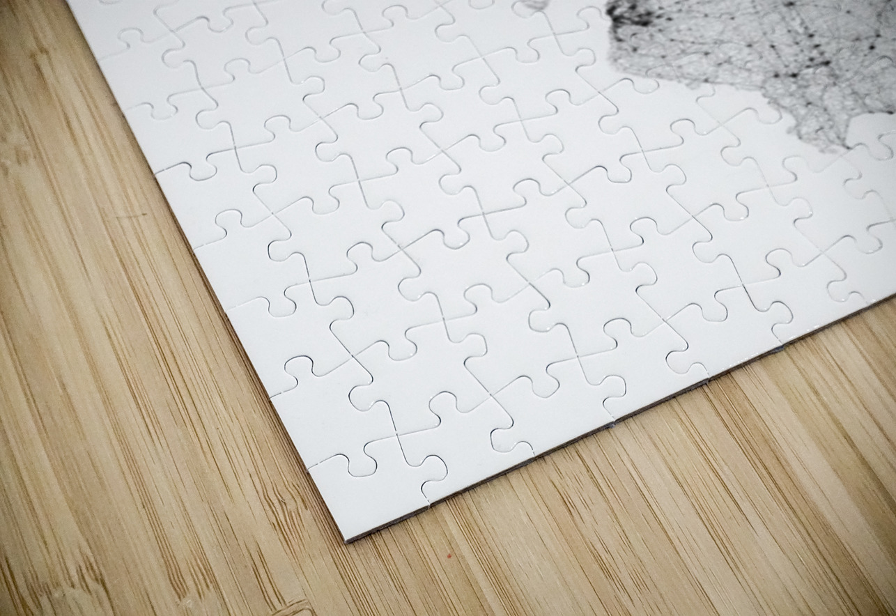 portrait 2 3 Illinois CityMapsArt Puzzle