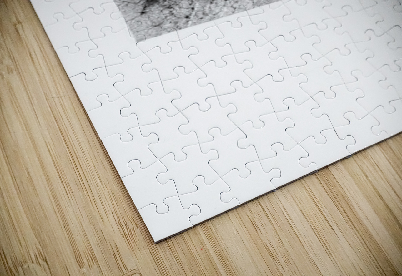 portrait 2 3 Peensylvania CityMapsArt Puzzle