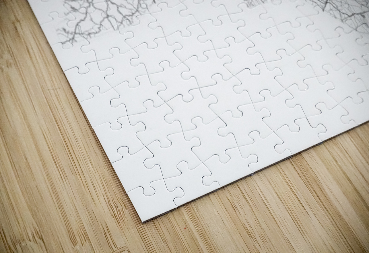 landscape 3 2 north carolina CityMapsArt Puzzle