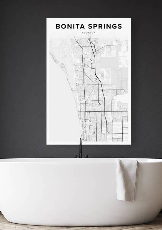 BonitaSprings portrait 2 3 by CityMapsArt